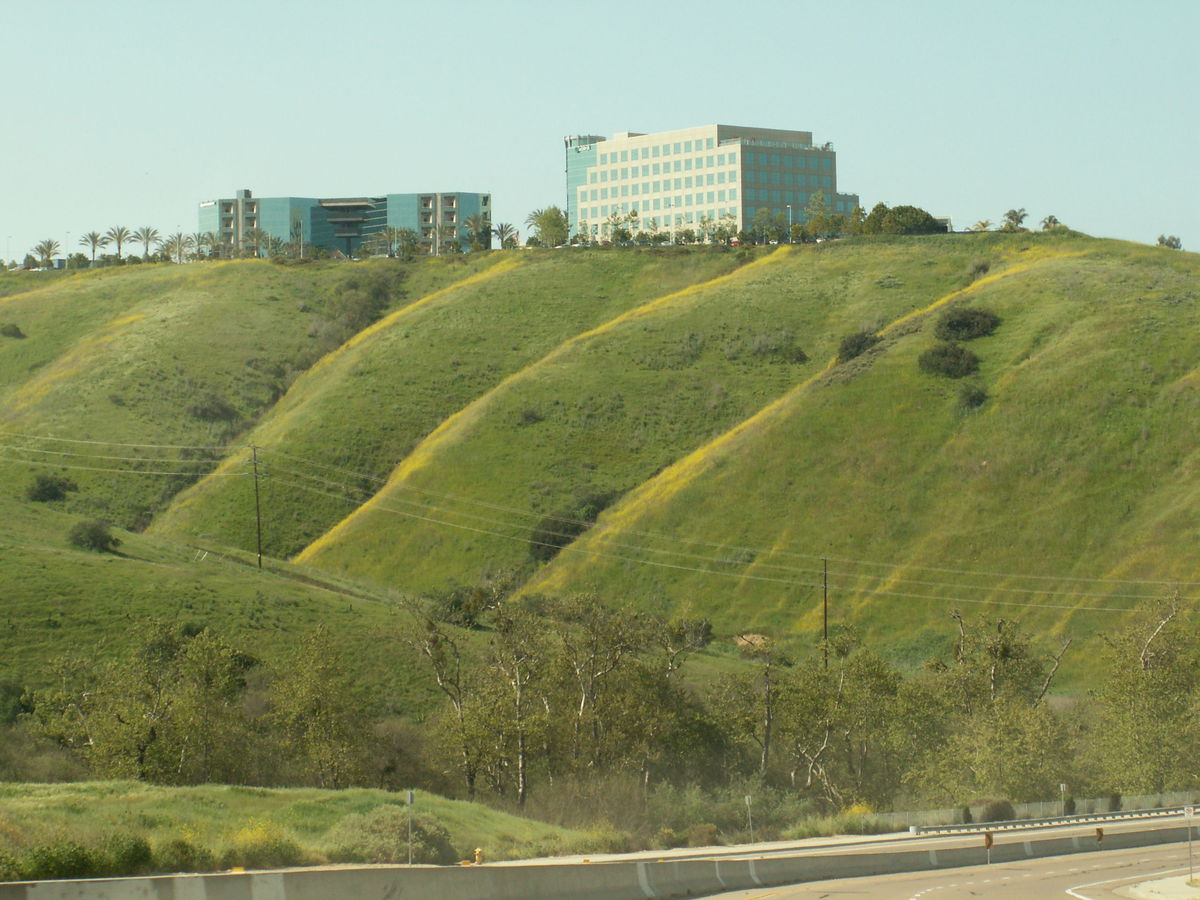 The hills are illuminated by fields of mustard, which grow only on the southern side, giving them an iridescent look. I realize, though, that I'm being a total bastard, because these descriptions are meaningless if you can't see the image.