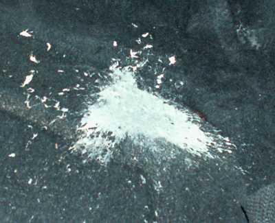 white splatter on the lining of my trunk.
