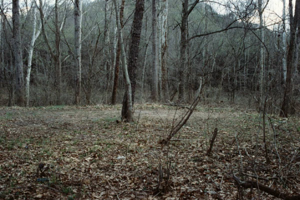 Billows photos