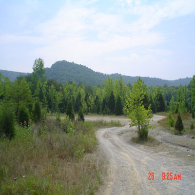 Billows photos