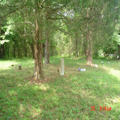 Billows photos