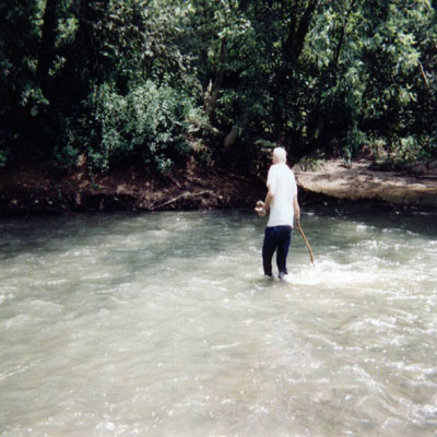 Billows photos