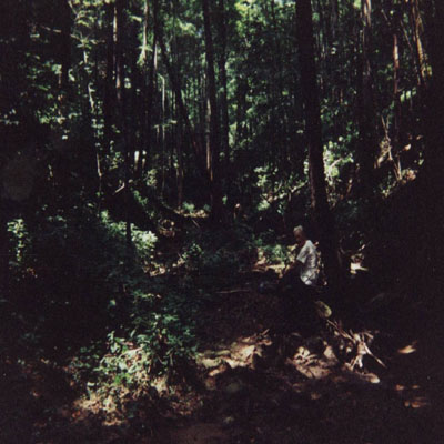 Billows photos