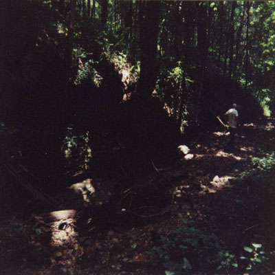 Billows photos