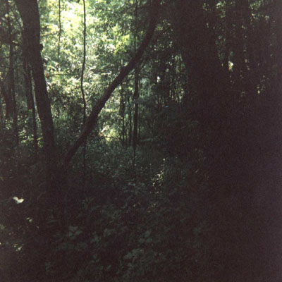 Billows photos