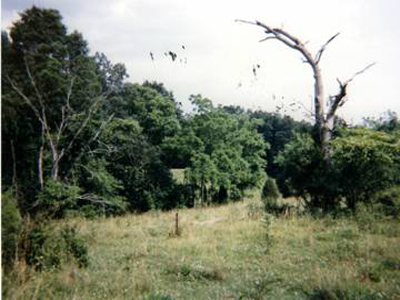 Jack Mize farm photo