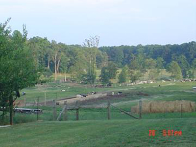Jack Mize farm photo