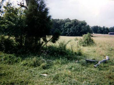 Jack Mize farm photo