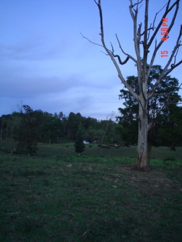 Jack Mize farm photo