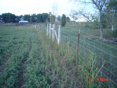 Jack Mize farm photo