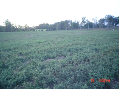 Jack Mize farm photo