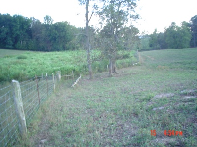 Jack Mize farm photo