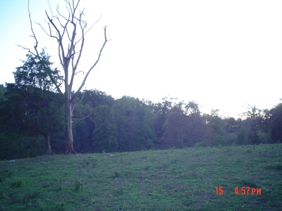 Jack Mize farm photo