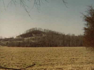 holtzclaw knob
