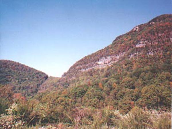 Virginia photo