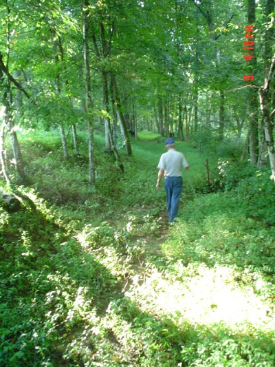 Skaggs Trace on Everett Renner Farm in Rockcastle Co. KY