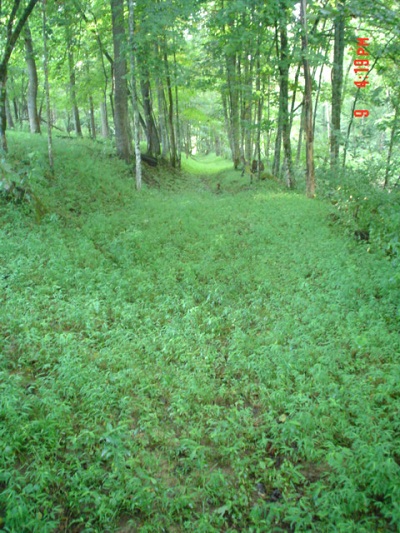 Skaggs Trace on Everett Renner Farm in Rockcastle Co. KY