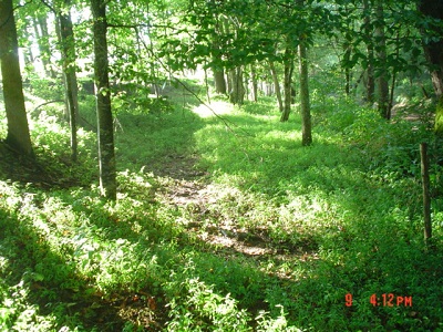 Skaggs Trace on Everett Renner Farm in Rockcastle Co. KY